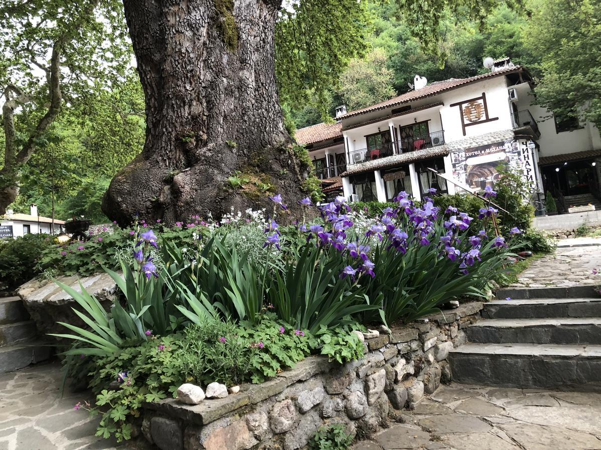 Chavkova House Мелник Екстериор снимка